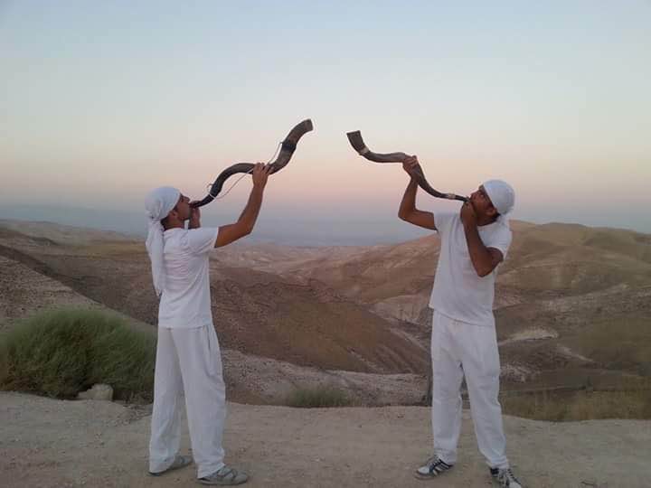 שופרות לאירוע / פסגת המוזיקה